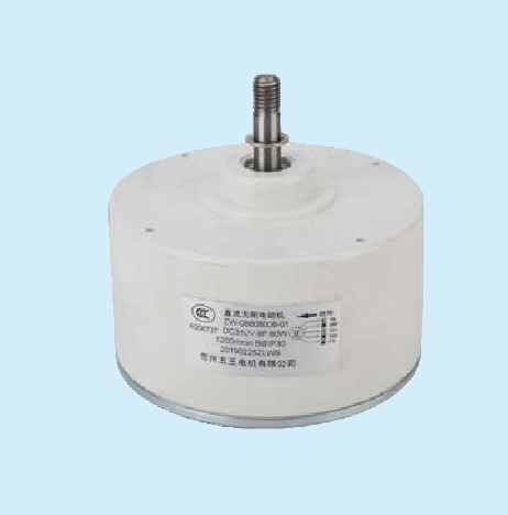 BLDC Motor