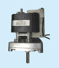 GEAR MOTOR
